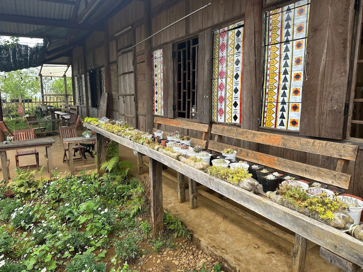 Tiệm họ Đoàn - Image 1