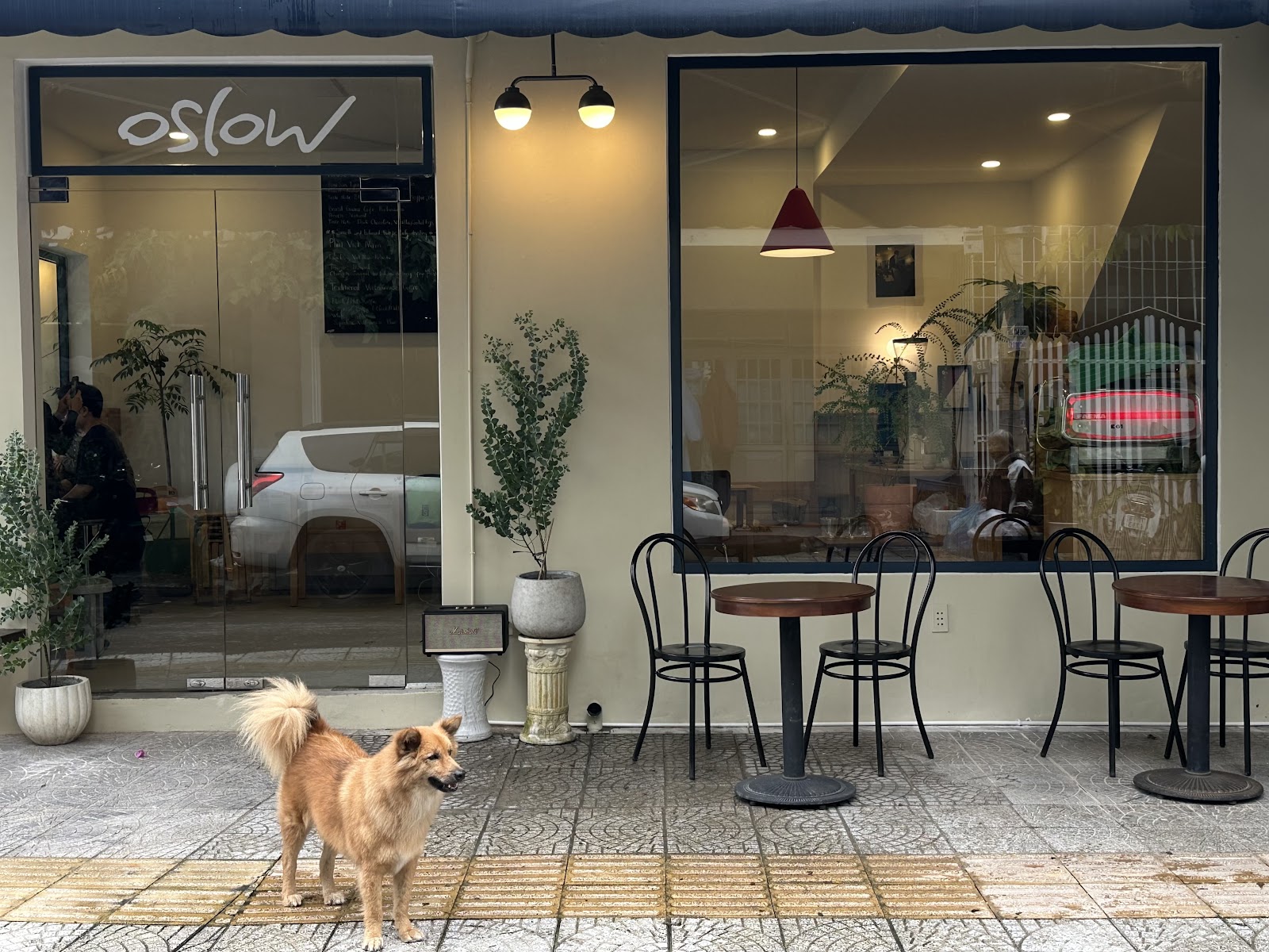 Oslow Coffee - Image 1