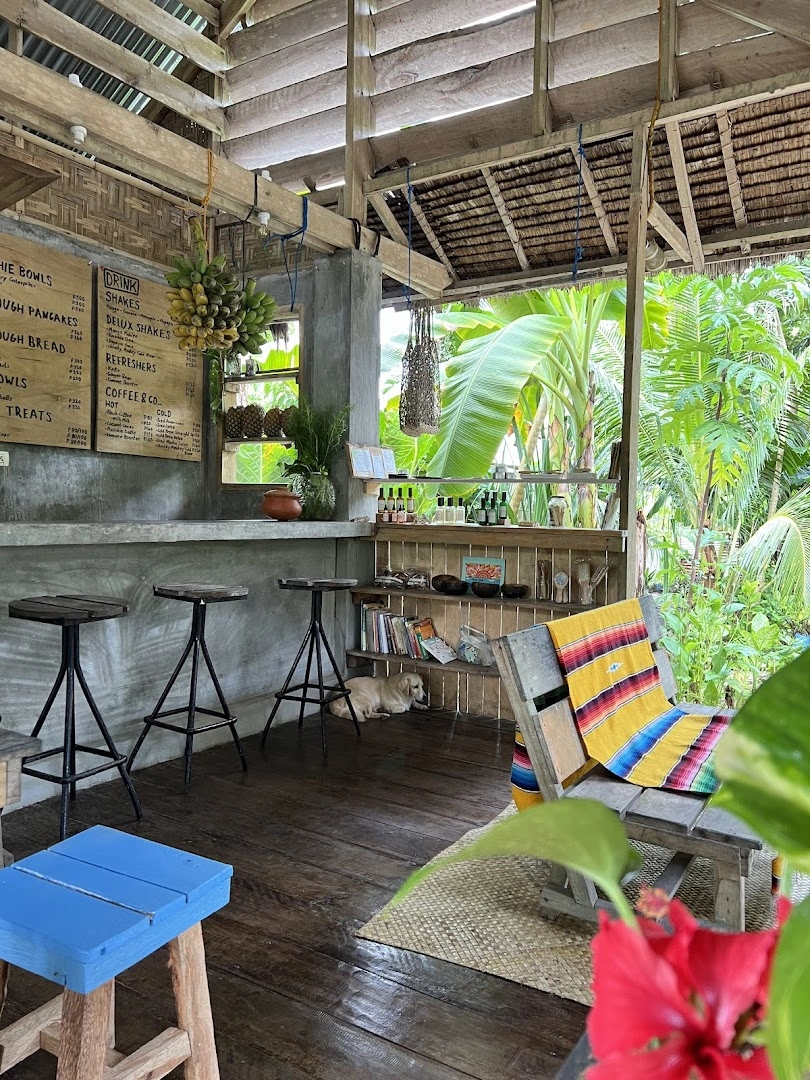 Common Ground - Café, Rooms & Yoga - Image 1