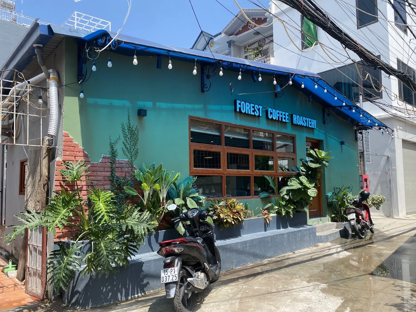 Forest Coffee - Image 1