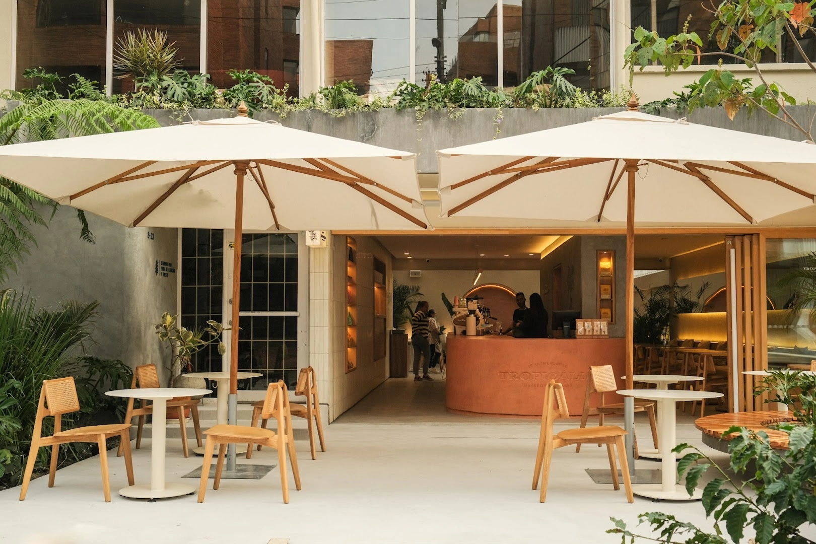 Tropicalia Coffee - Image 1