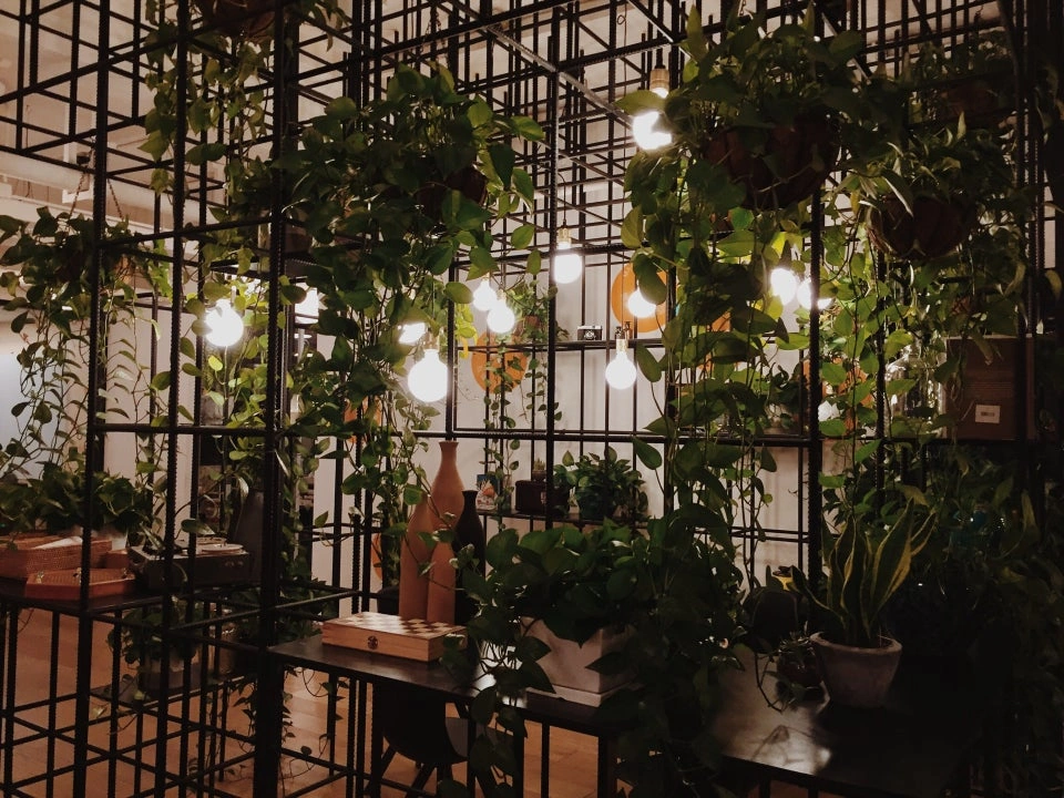 WeWork (Yanping Lu) - Image 1