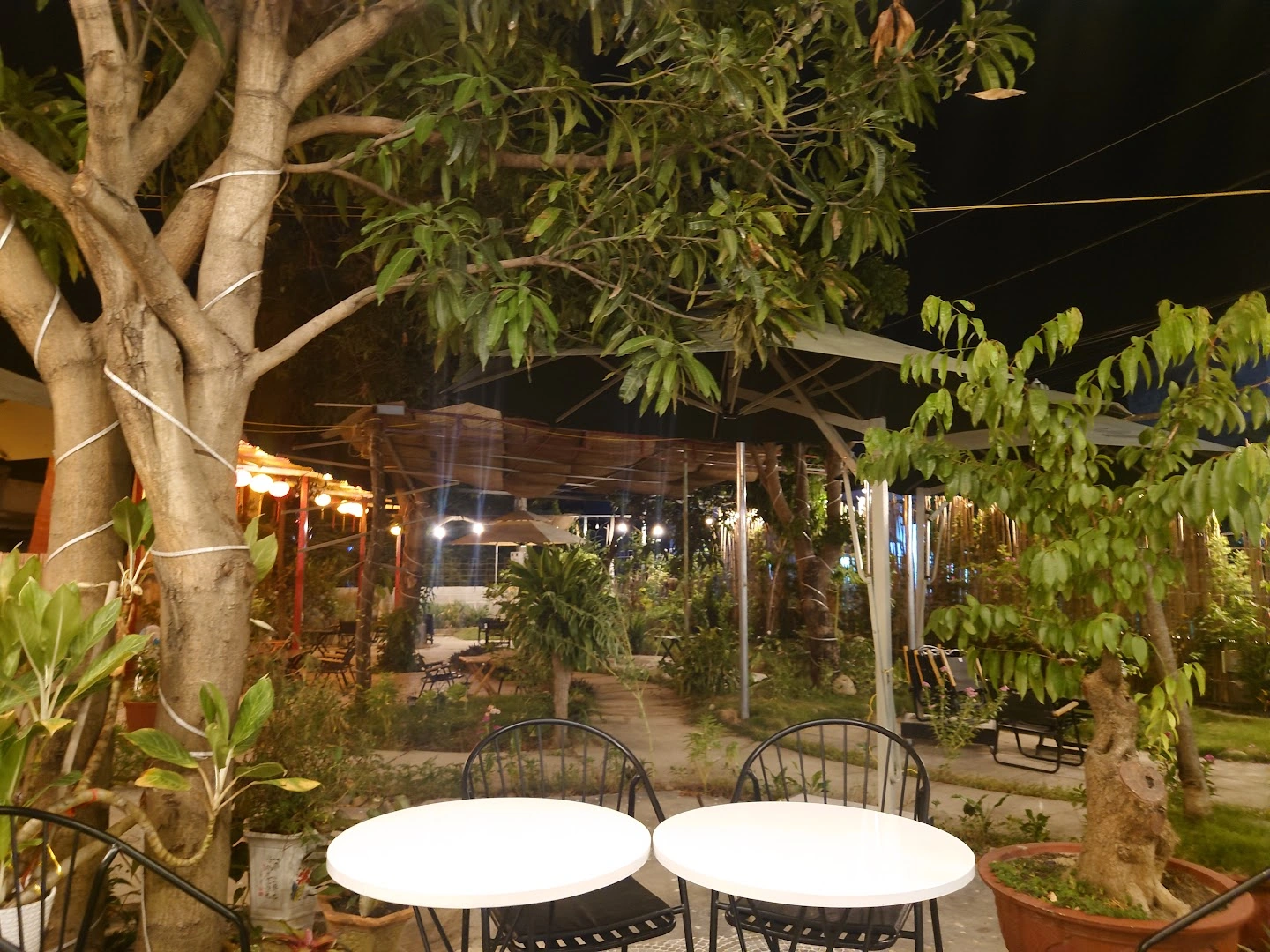 Cafe Minu GARDEN - Image 1