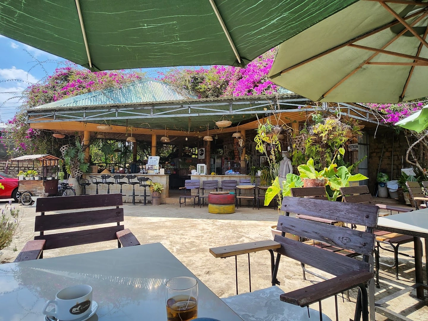 Weasel coffee farm - Image 1