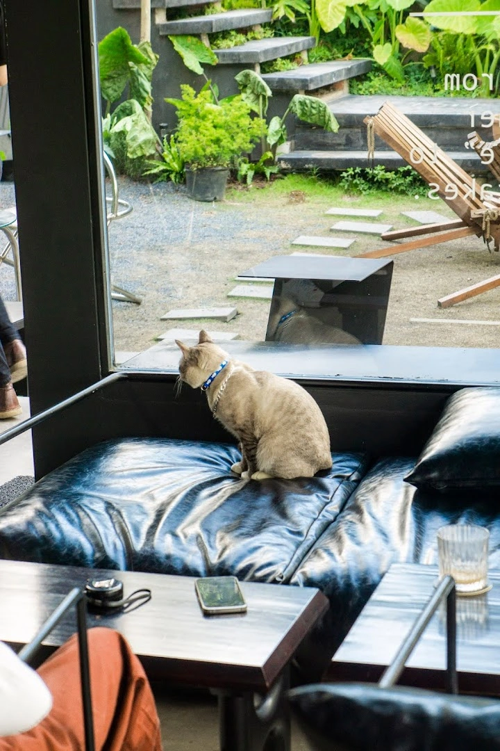Sitooterie - Coffee & Stories - Image 1