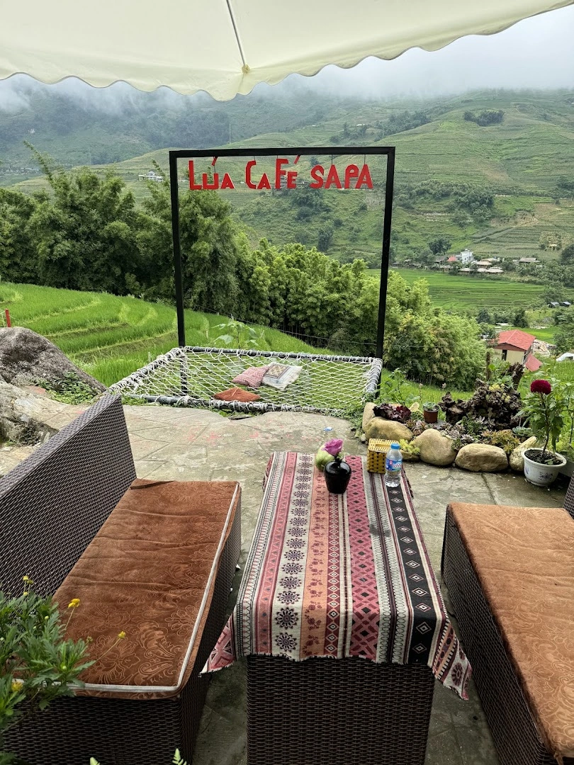 Lúa cafe - Image 1
