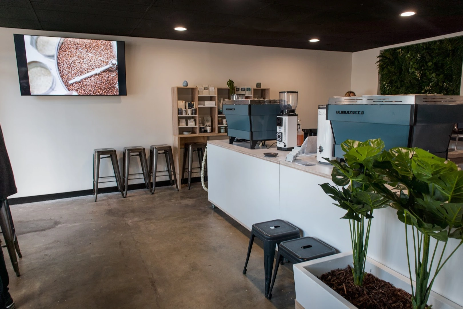 Seven Miles Coffee Roasters Parramatta - Image 1
