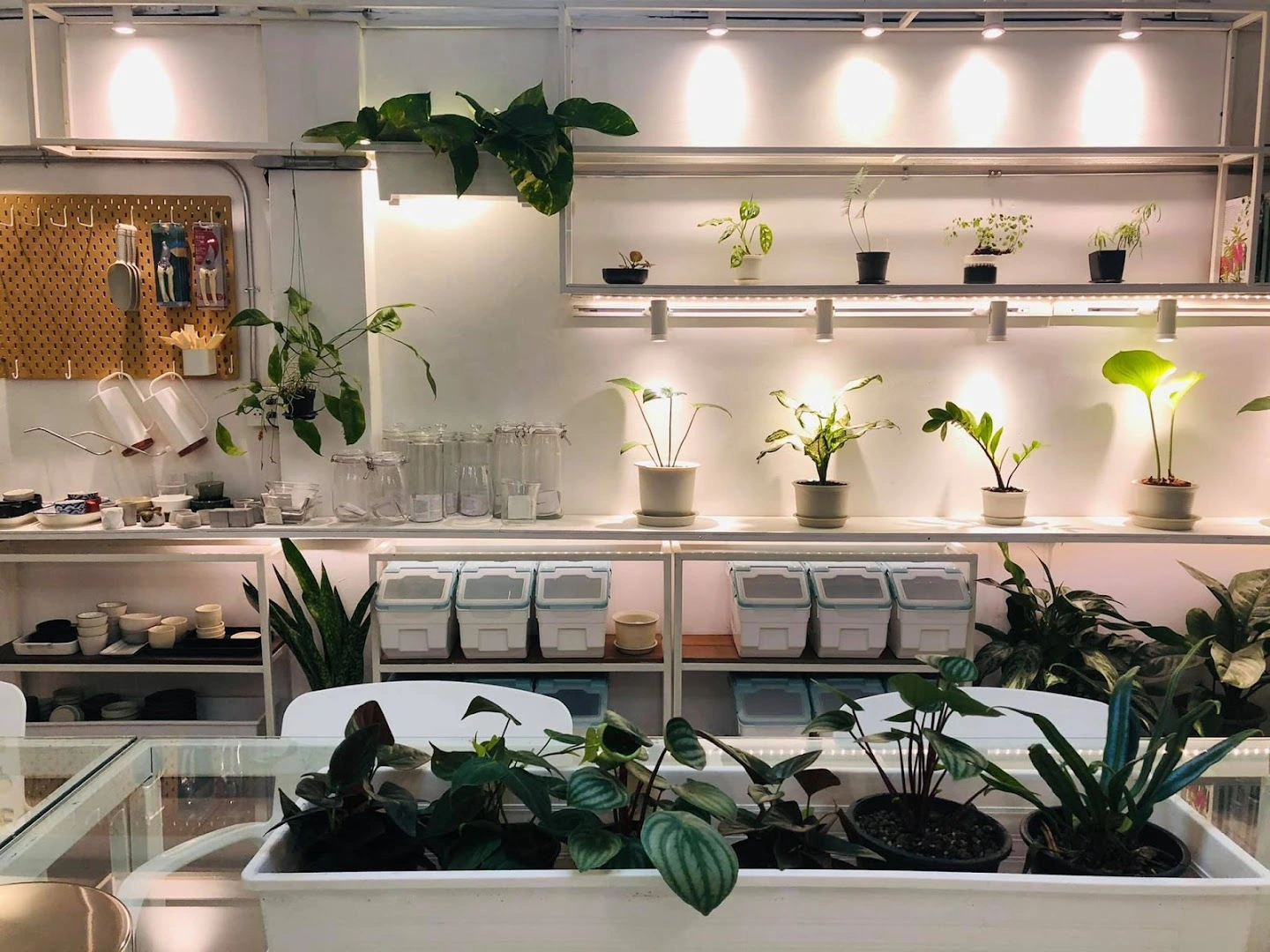 Plant workshop cafe - Image 1