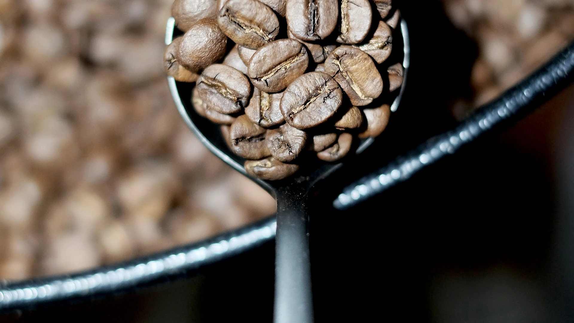 Black Label Roastery - Image 1