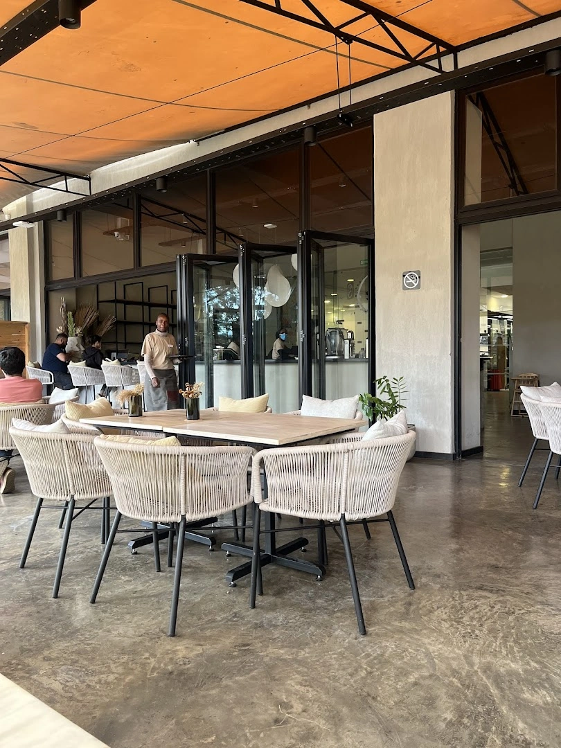 Coffee & Plant - Image 1