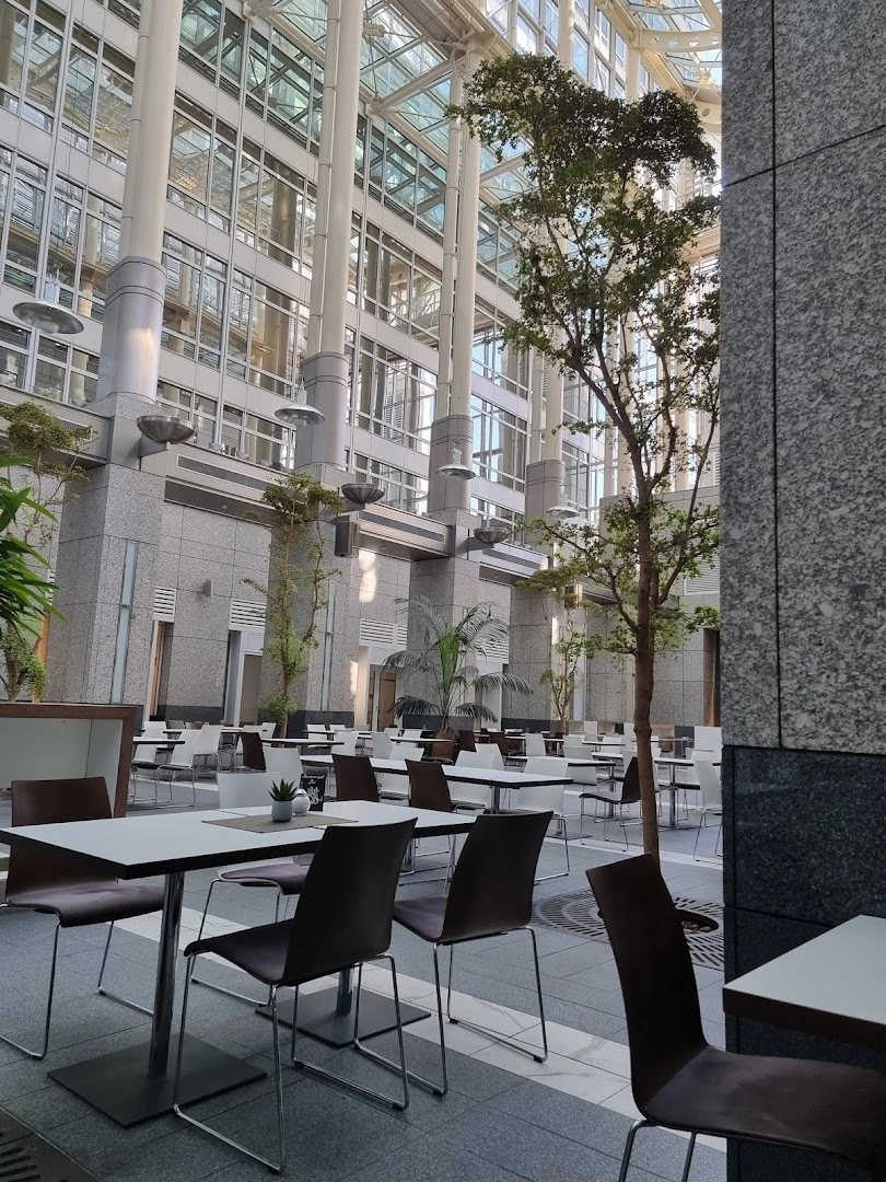 kiril pachov - Coffee Talk (in public courtyard) - Image 1