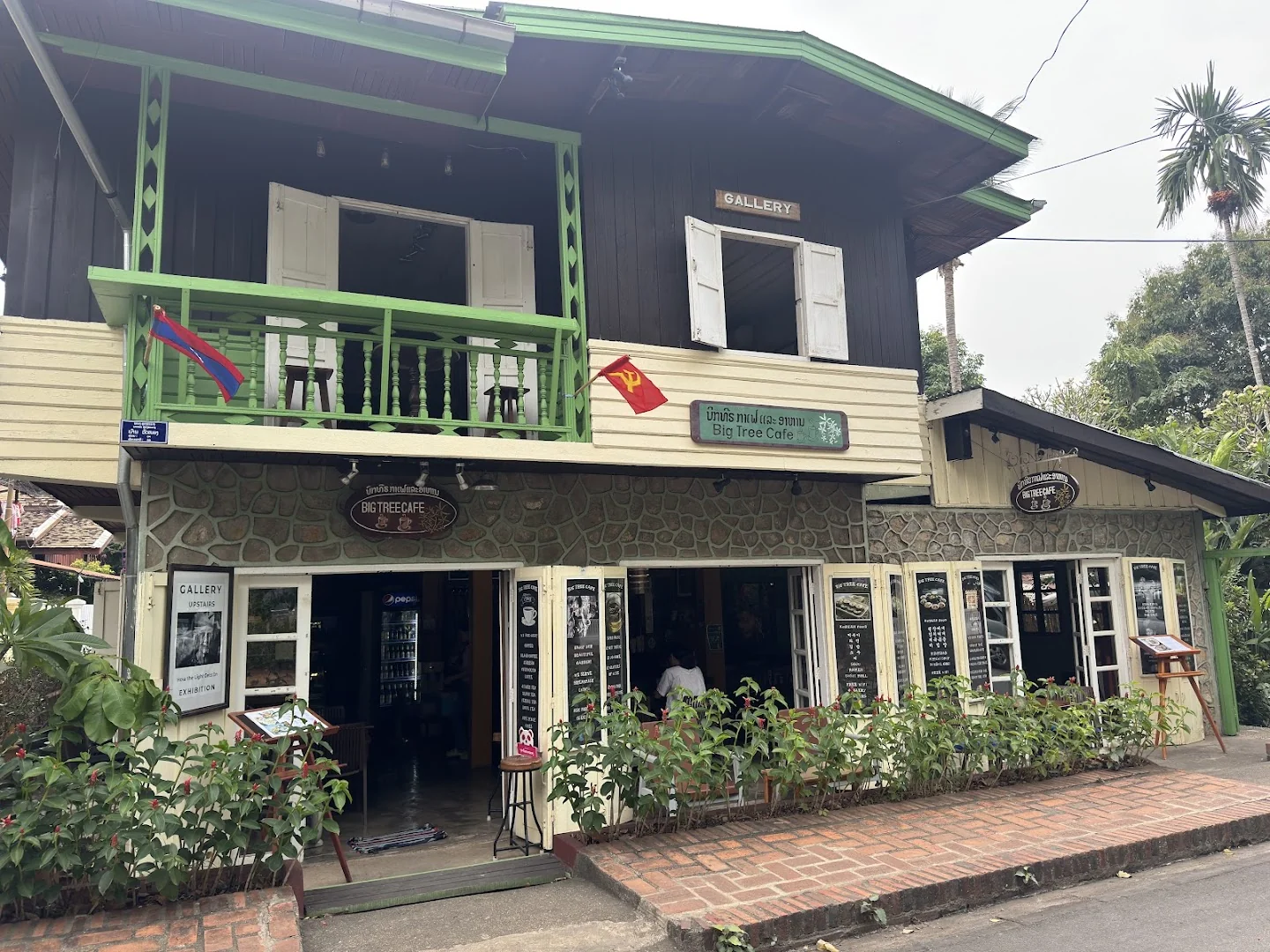 Big Tree Cafe - Image 1