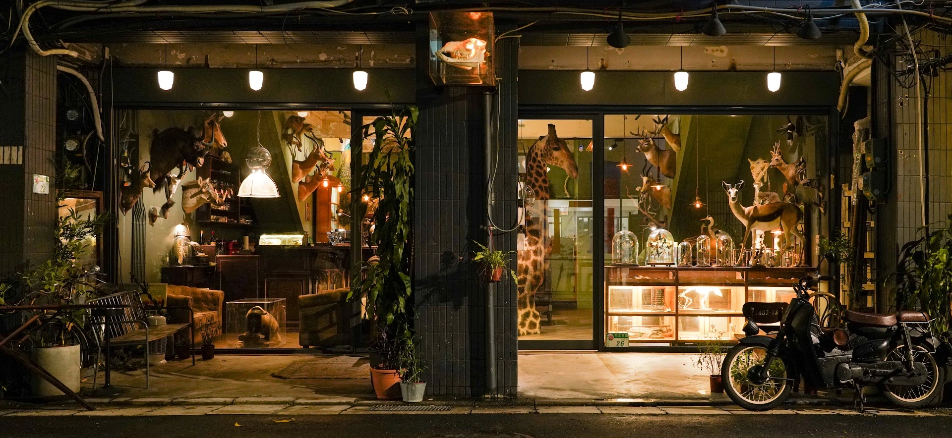 遷鳥陳列所-Cafe bar｜台北迪化街咖啡廳｜迪化街酒吧、古董 - Image 1