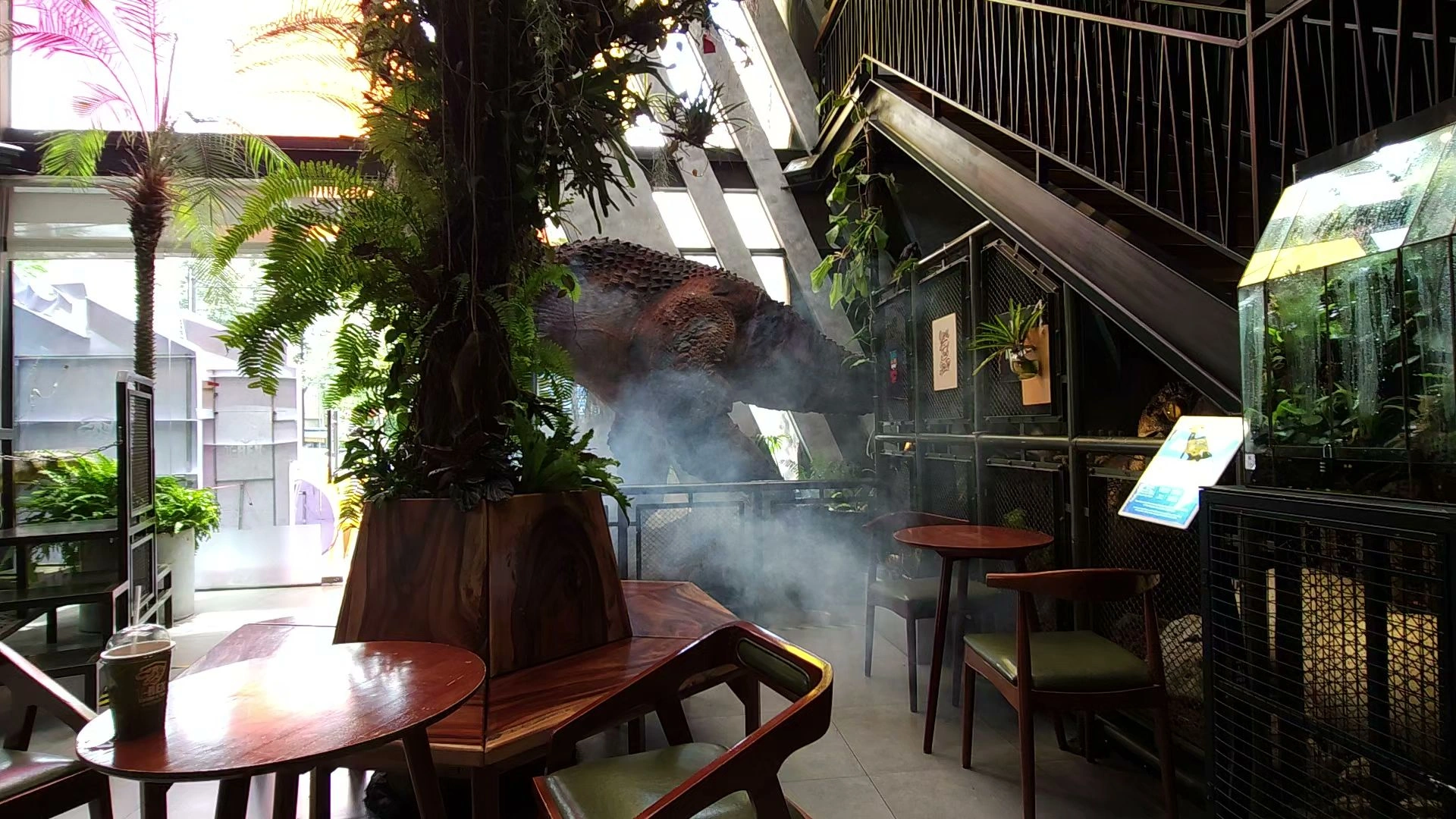 T-REX Coffee & Tea - Image 1