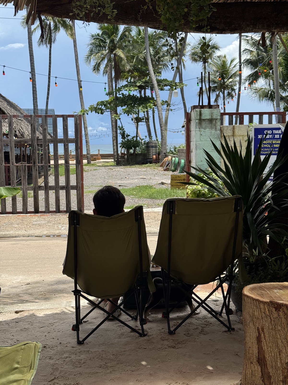 BeDen - Coffee, Home, Kitesurf - Image 1