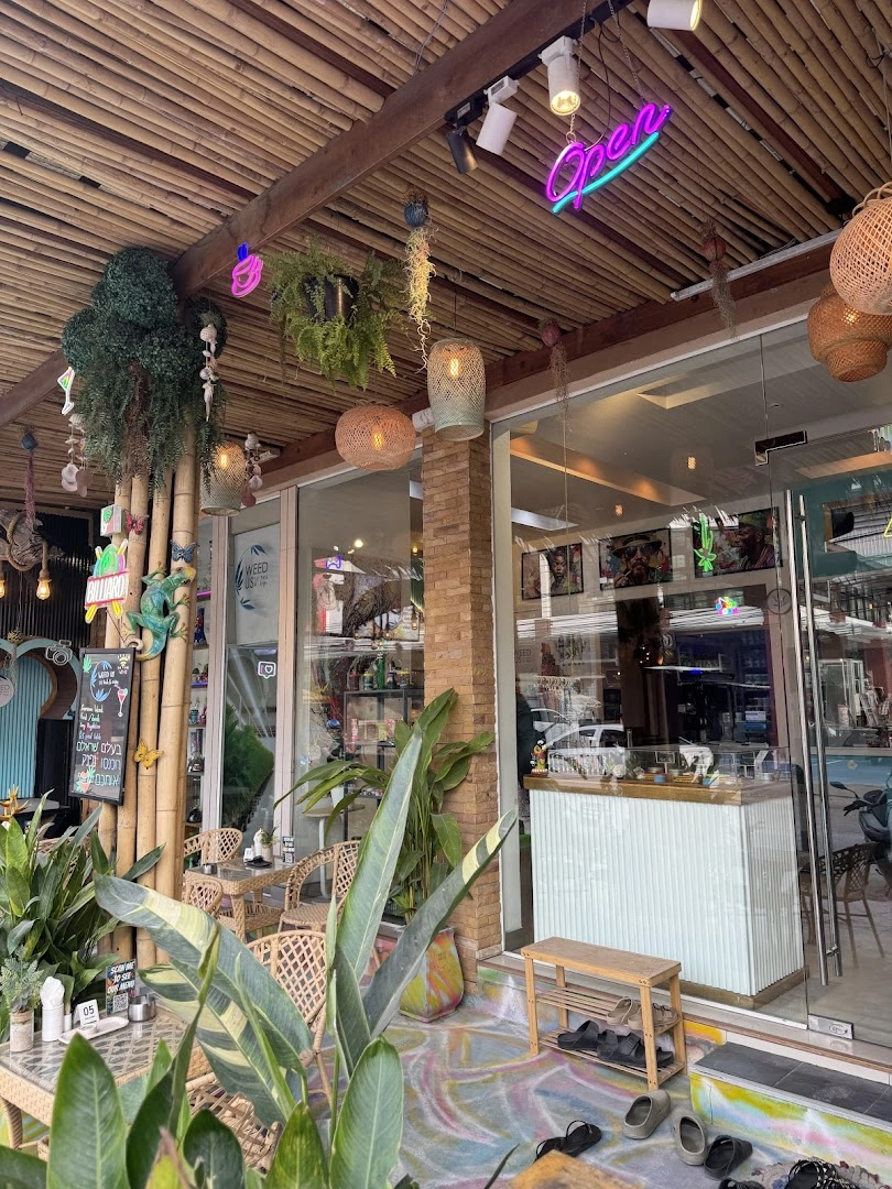 WEED US Coffee shop - Image 1