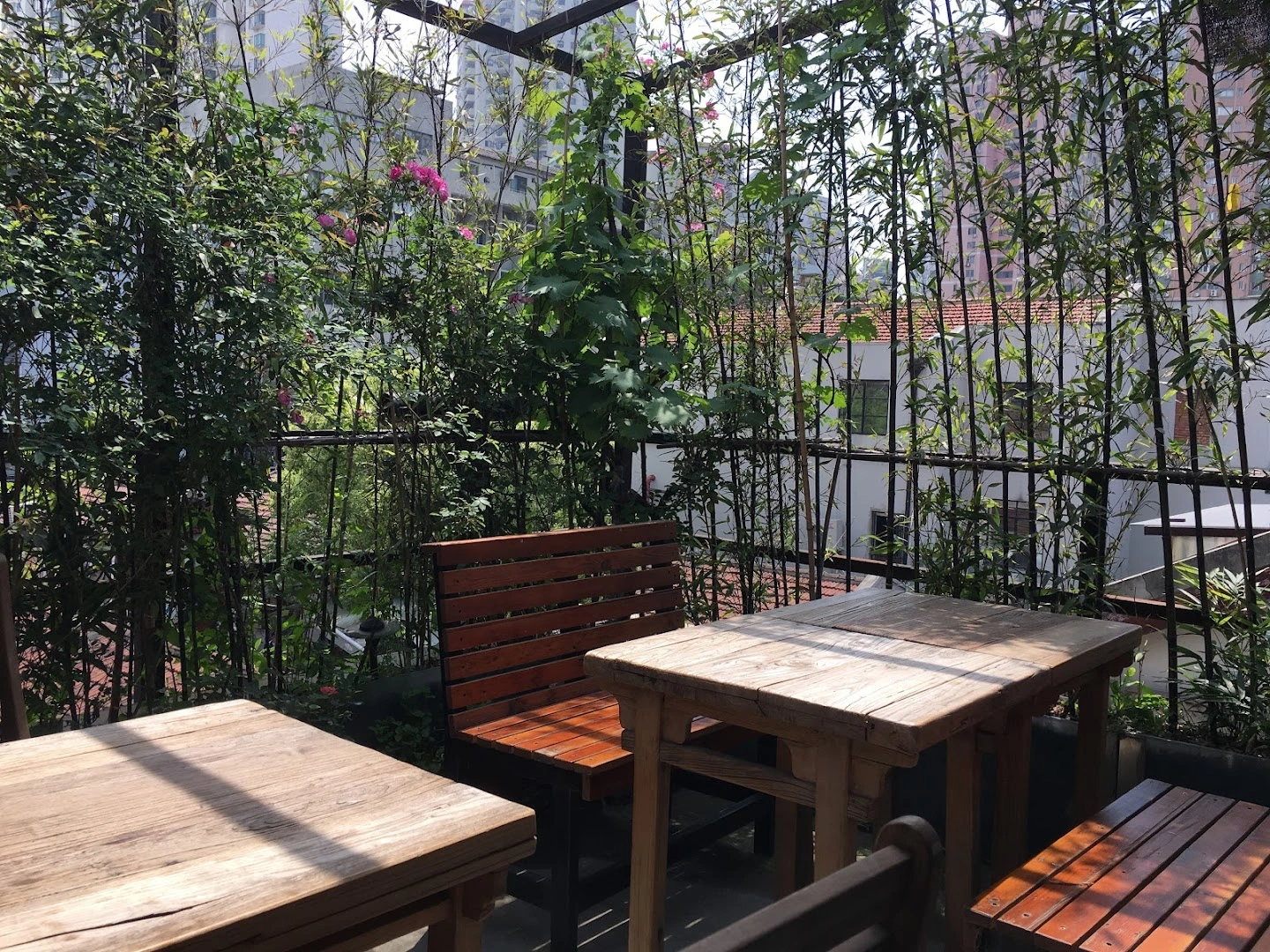 Cafe Dan - Image 1