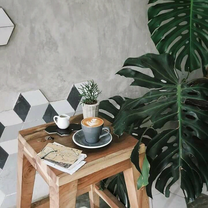 Hayati | Specialty Coffee - Image 1