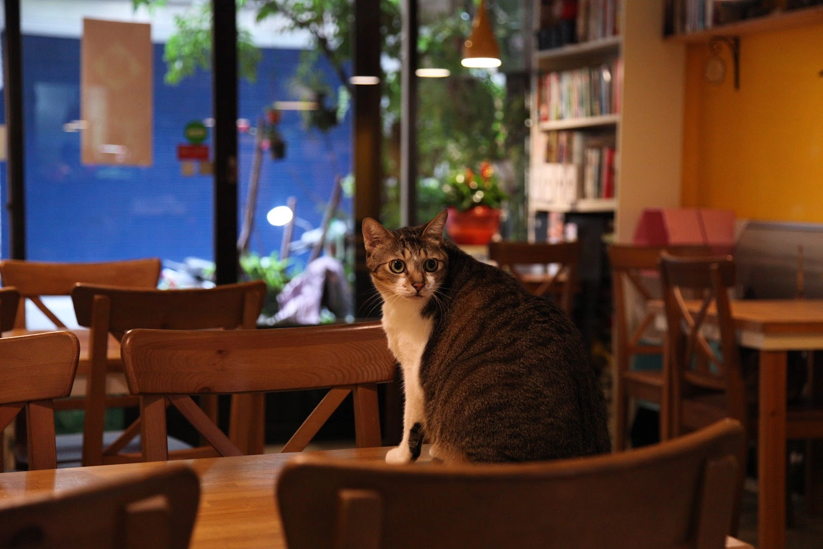 Taste Cafe - Image 1