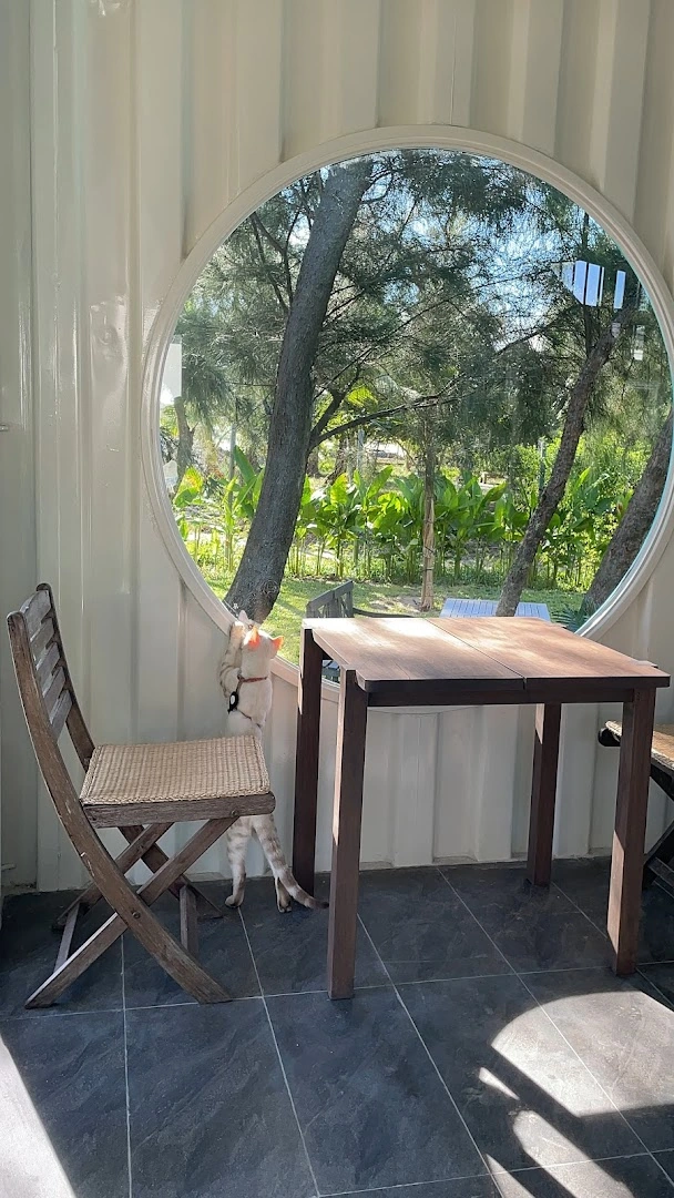 Sniff - Image 1