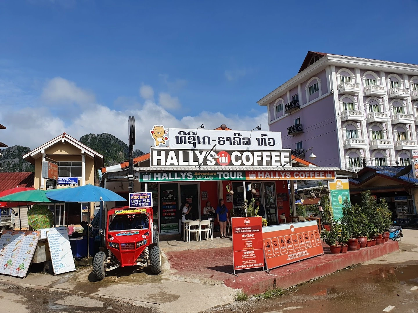 Hallys Coffee & TCK Tours - Image 1