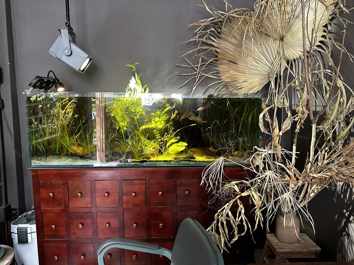 Xào Xạc cafe & plants - Image 1