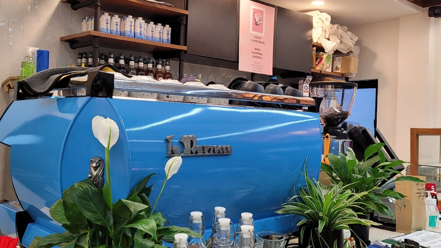 Wolf & Turtle Coffee @ Bukit Tunku - Image 1