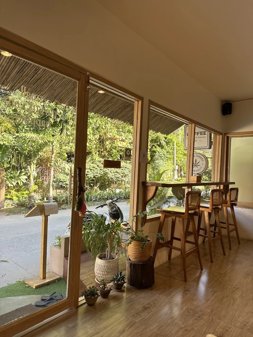 Brow co. Coffee koh phangan - Image 1
