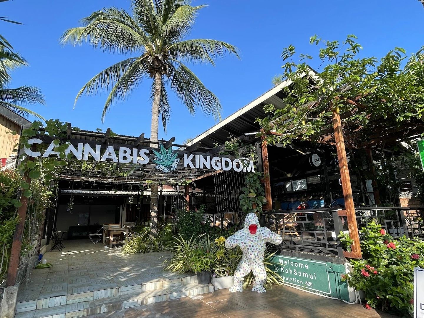 Cannabis Kingdom - Image 1