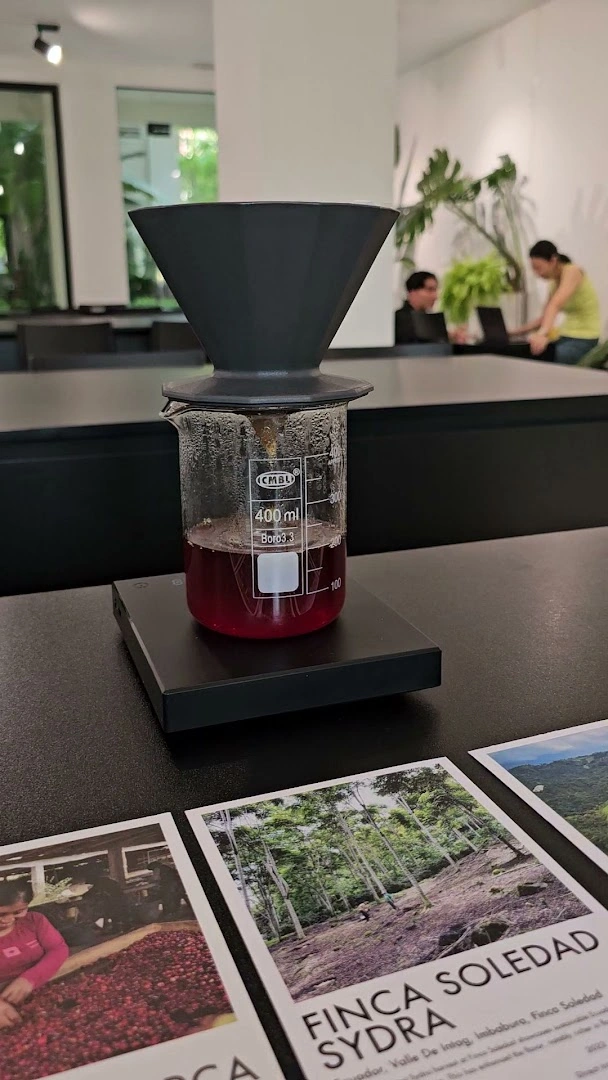 XLIII Specialty Coffee - Image 1