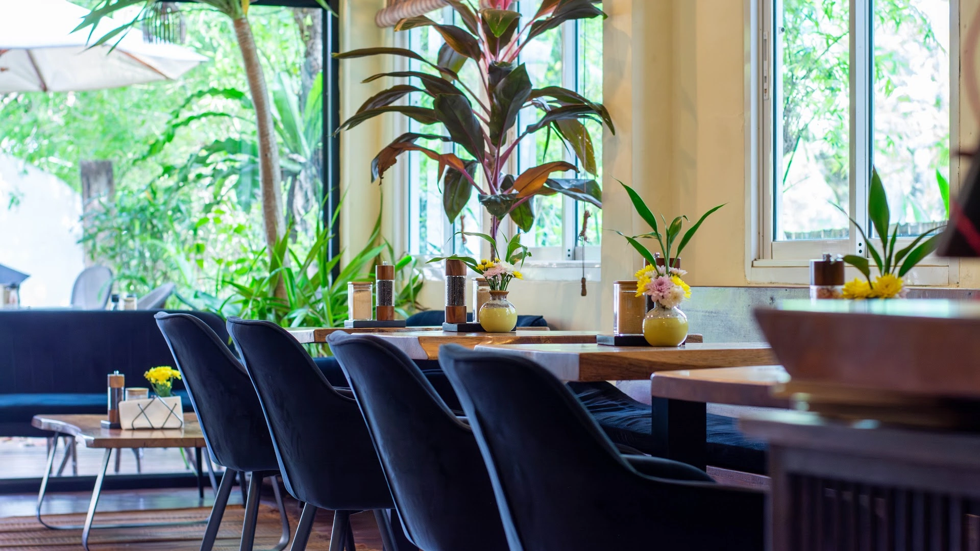 Bubba's Coffee Baan Tai - Image 1