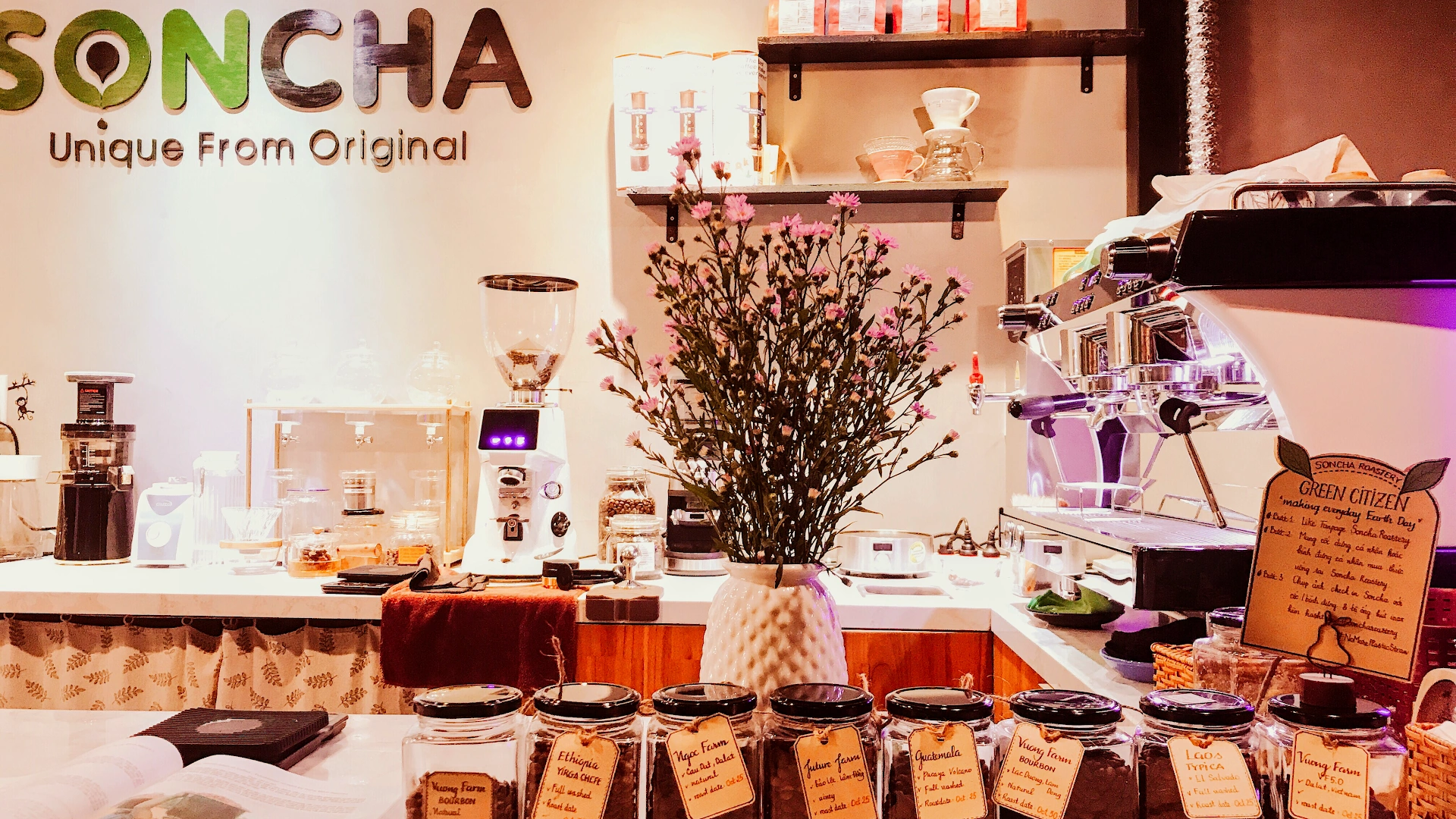 Soncha Roastery - Image 1