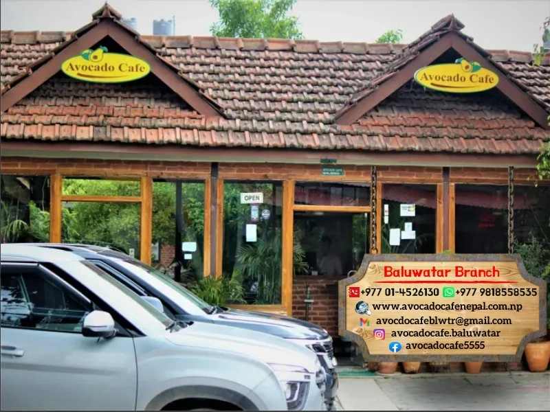 Avocado Cafe - Image 1