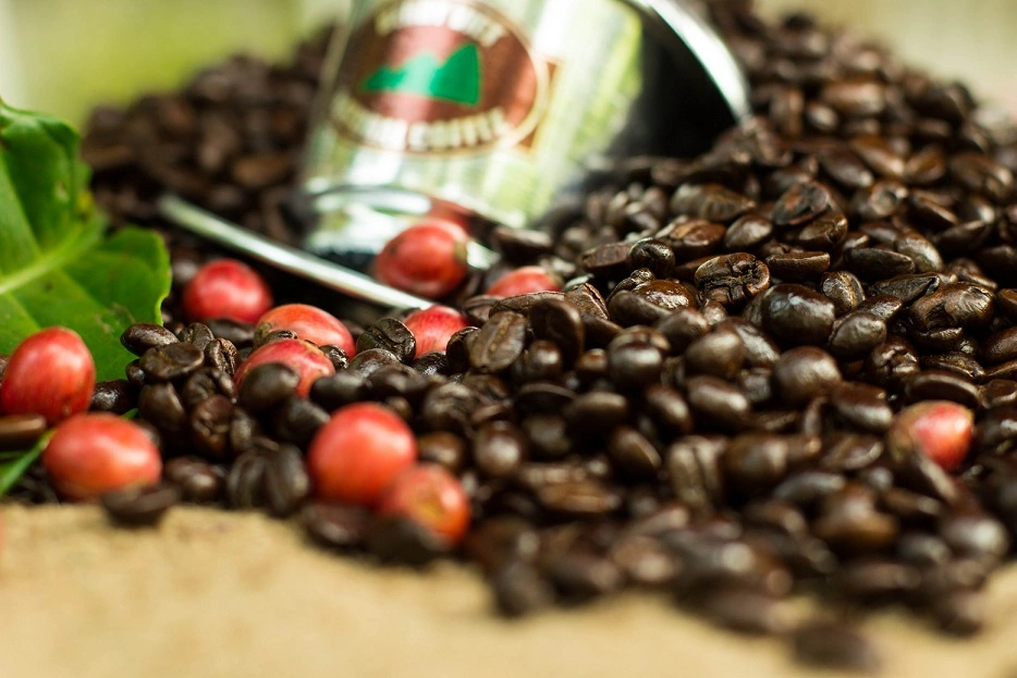 BERRY VIET COFFEE ROASTERY - Image 1