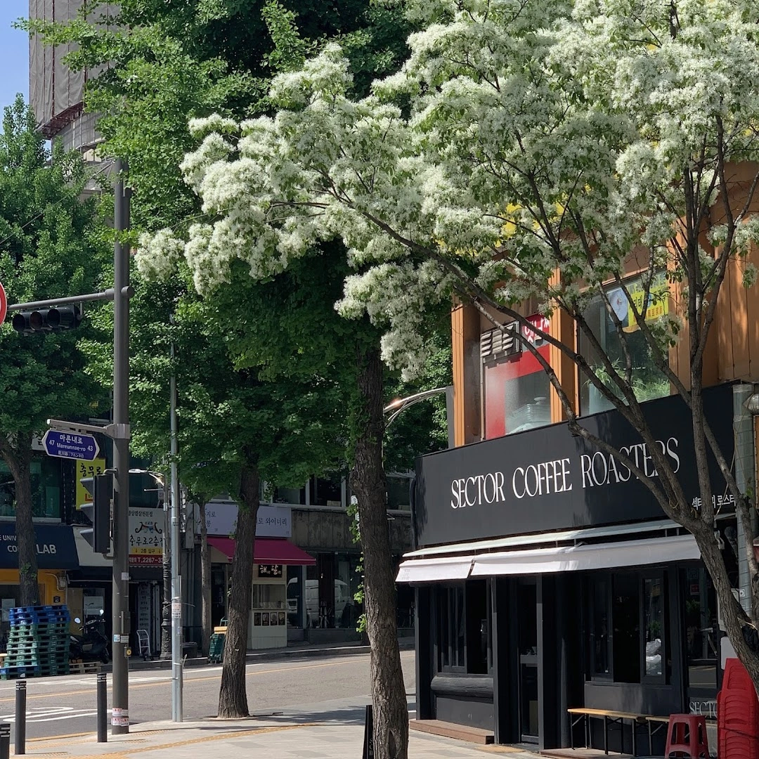 Sector Coffee Roasters Main Branch - Image 1