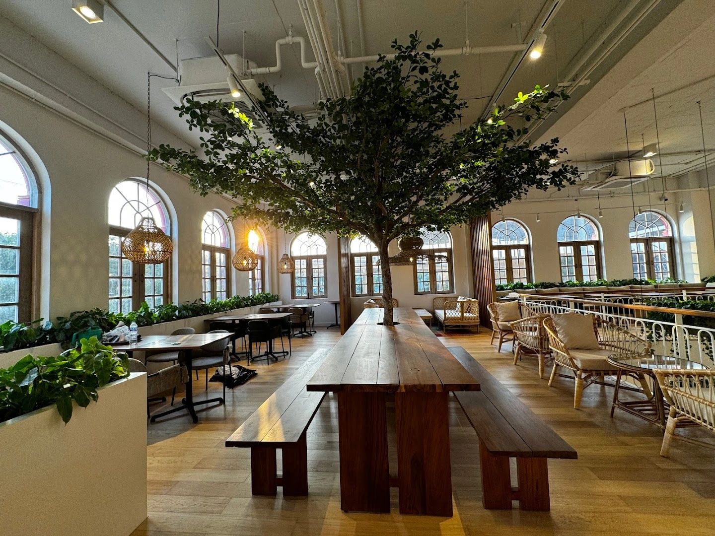 BARTELS Blue Tree - Sourdough Sandwiches & Juicery - Image 1