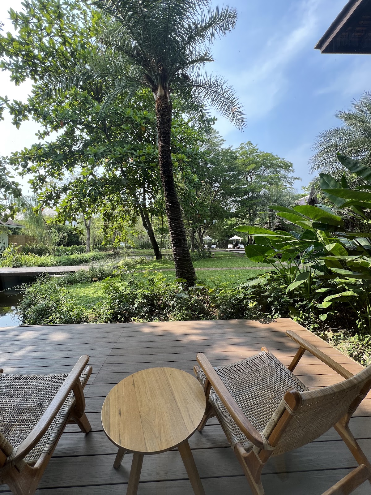 Bitter House Sansab - Image 1
