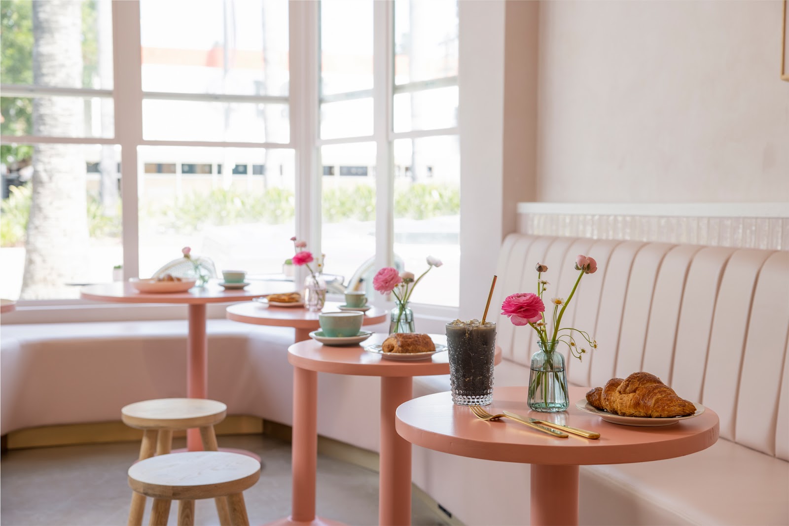 Coffee and Plants - Image 1