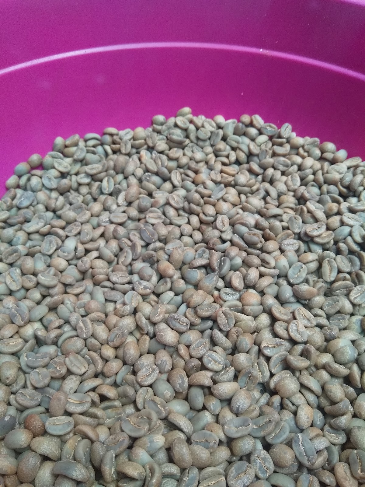 Enjolseng Coffee & Roastery - Image 1