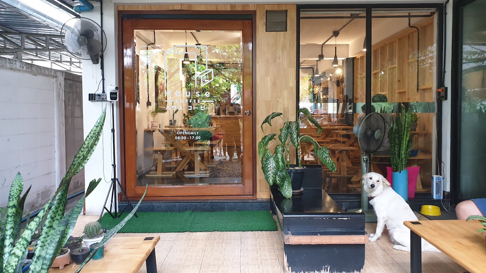 House Coffee Chiang Rai - Image 1