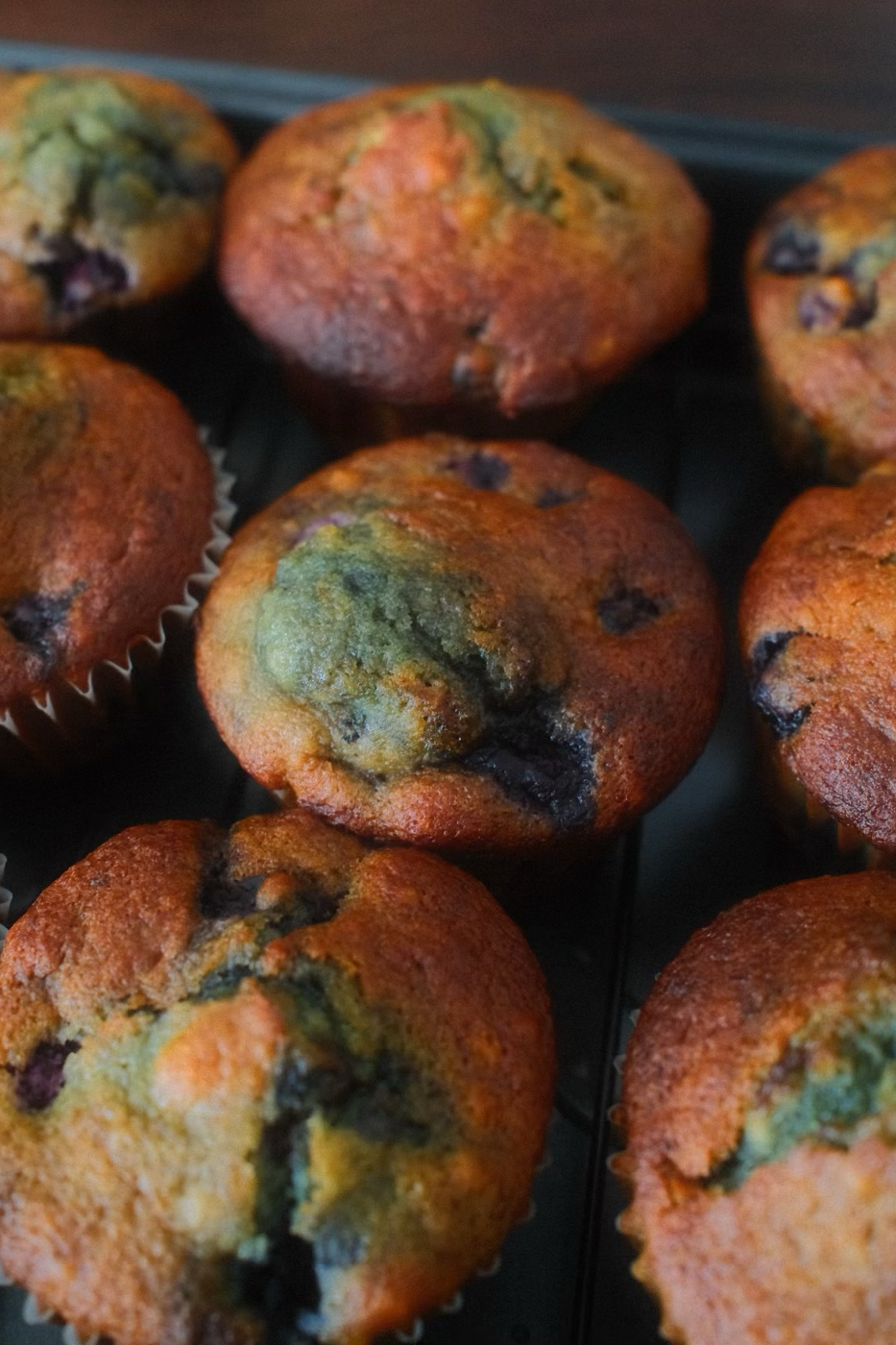 Matcha Paws - Image 1