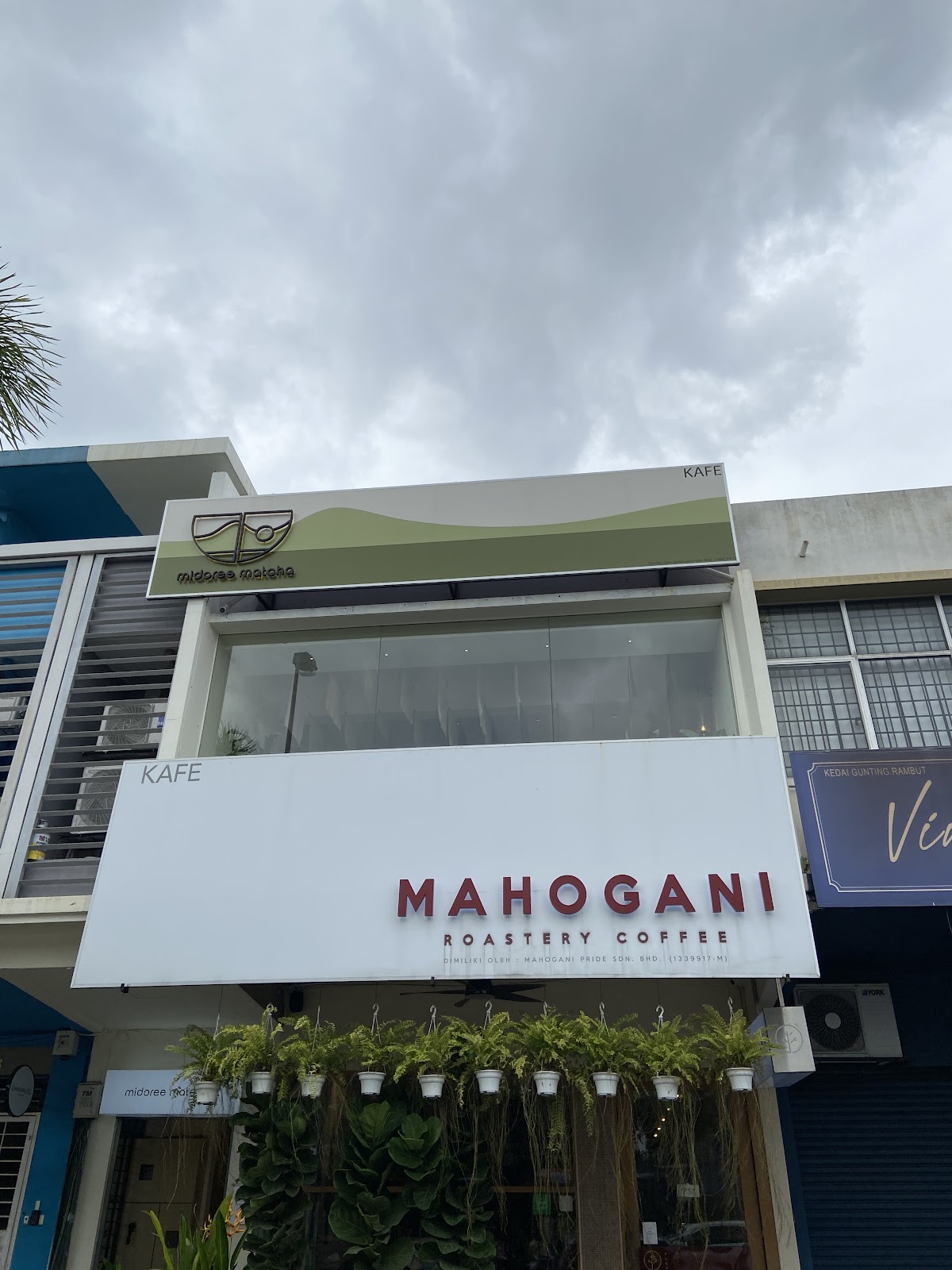 Midoree Matcha - Image 1