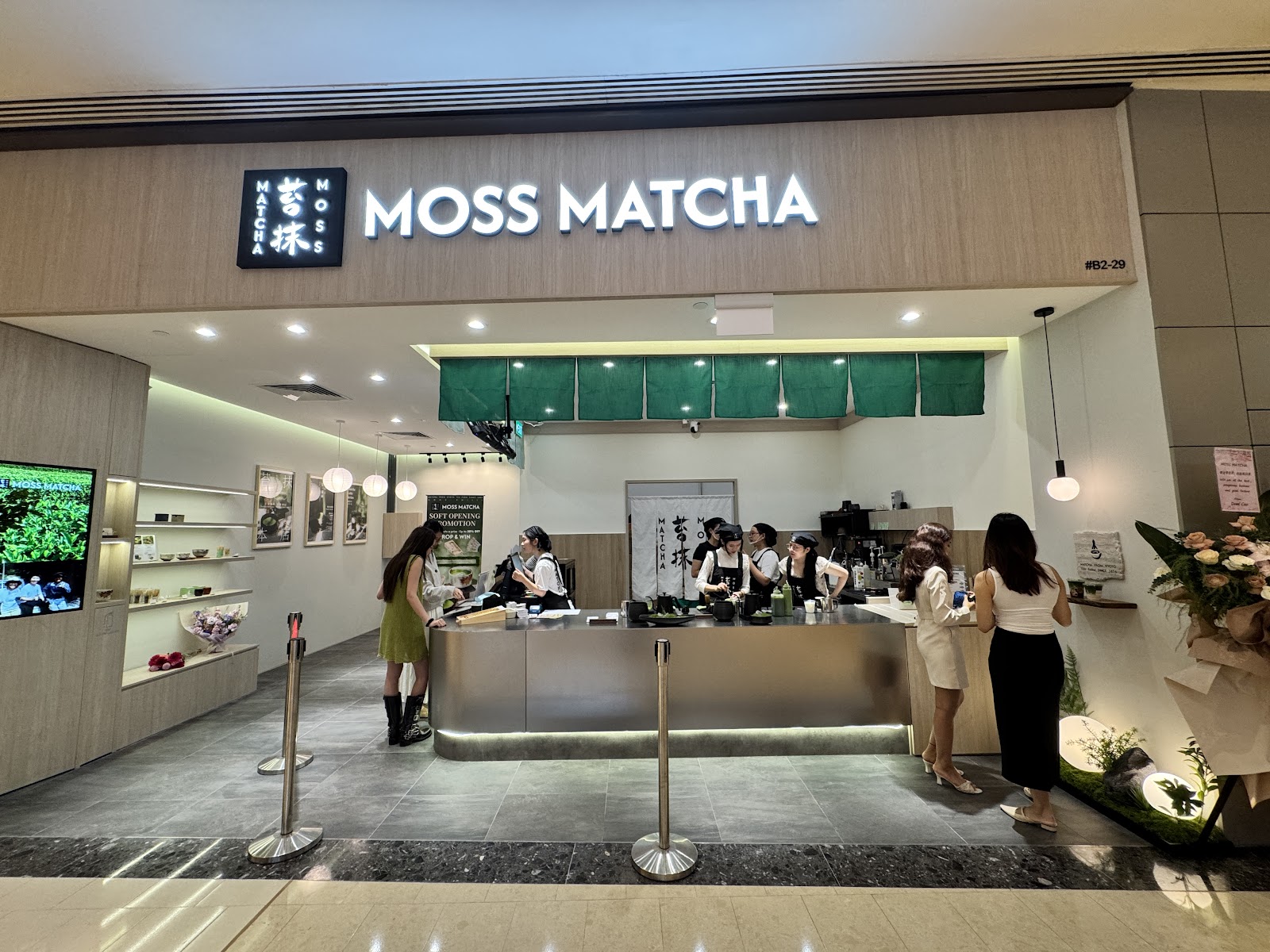 MOSS MATCHA - Image 1