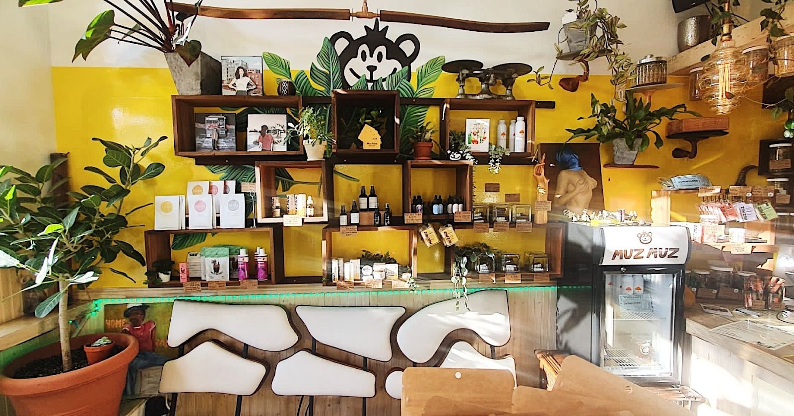 Muz Muz Shop & Cafè - Image 1