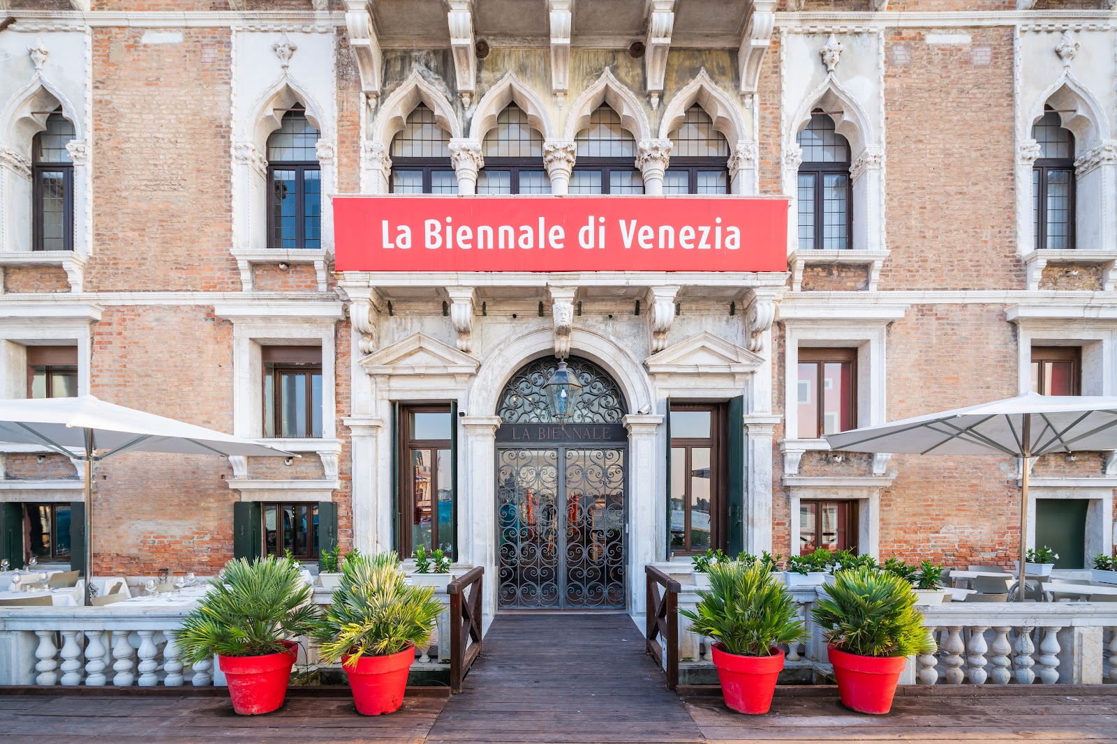 Ombra del Leone - Image 1