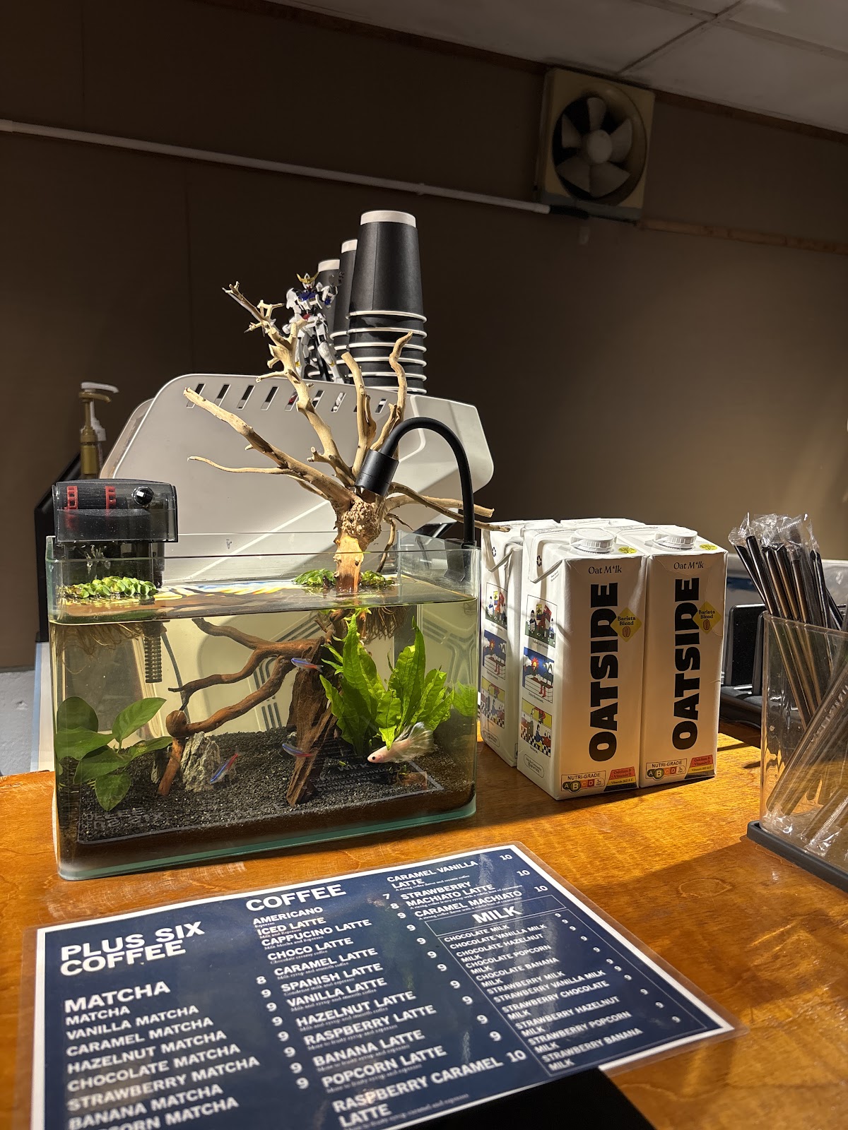 PLUS SIX COFFEE CLUB - Image 1