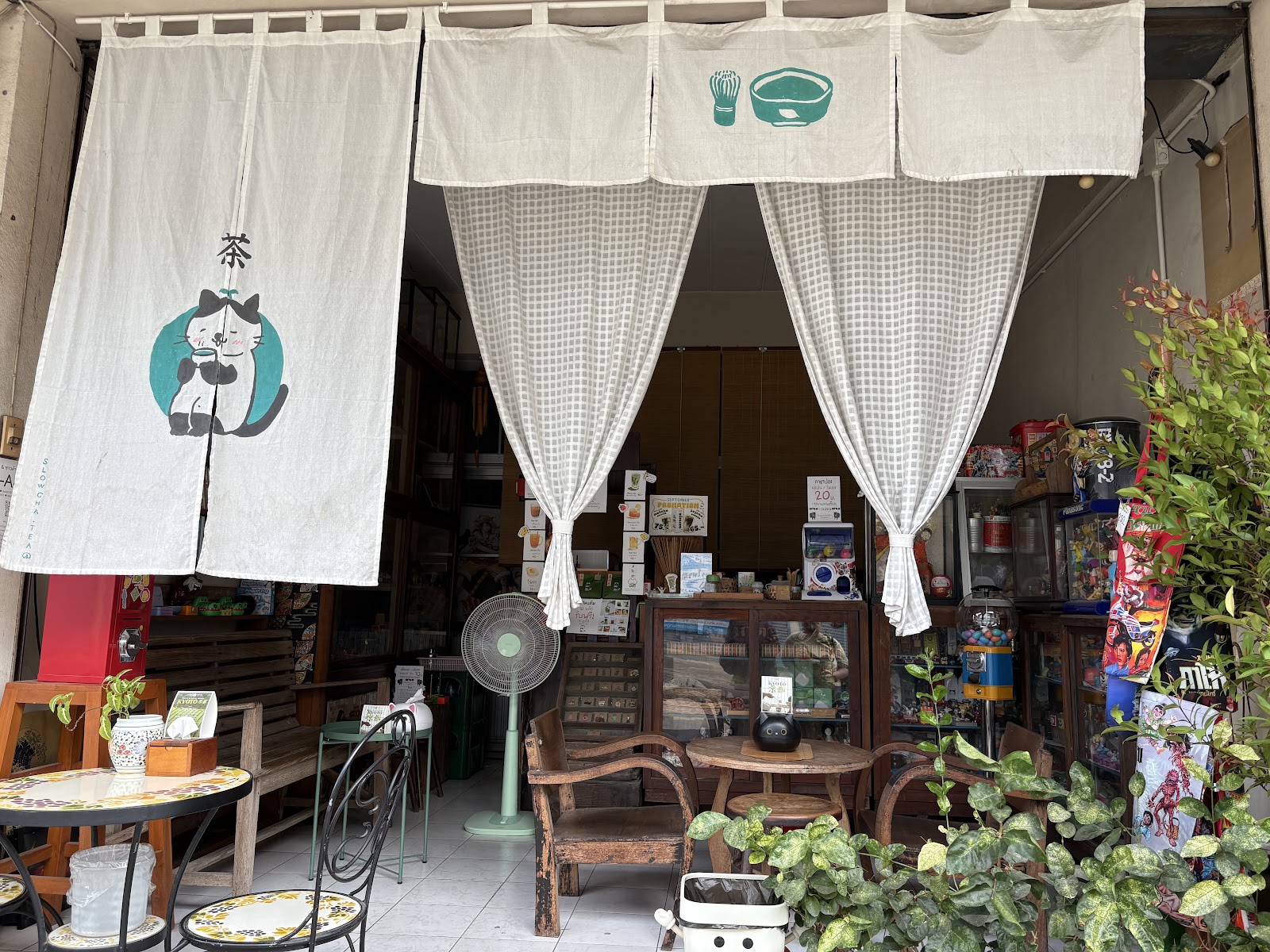 Slowcha สโรชา-มัทฉะ ลำพูน 茶 - Image 1