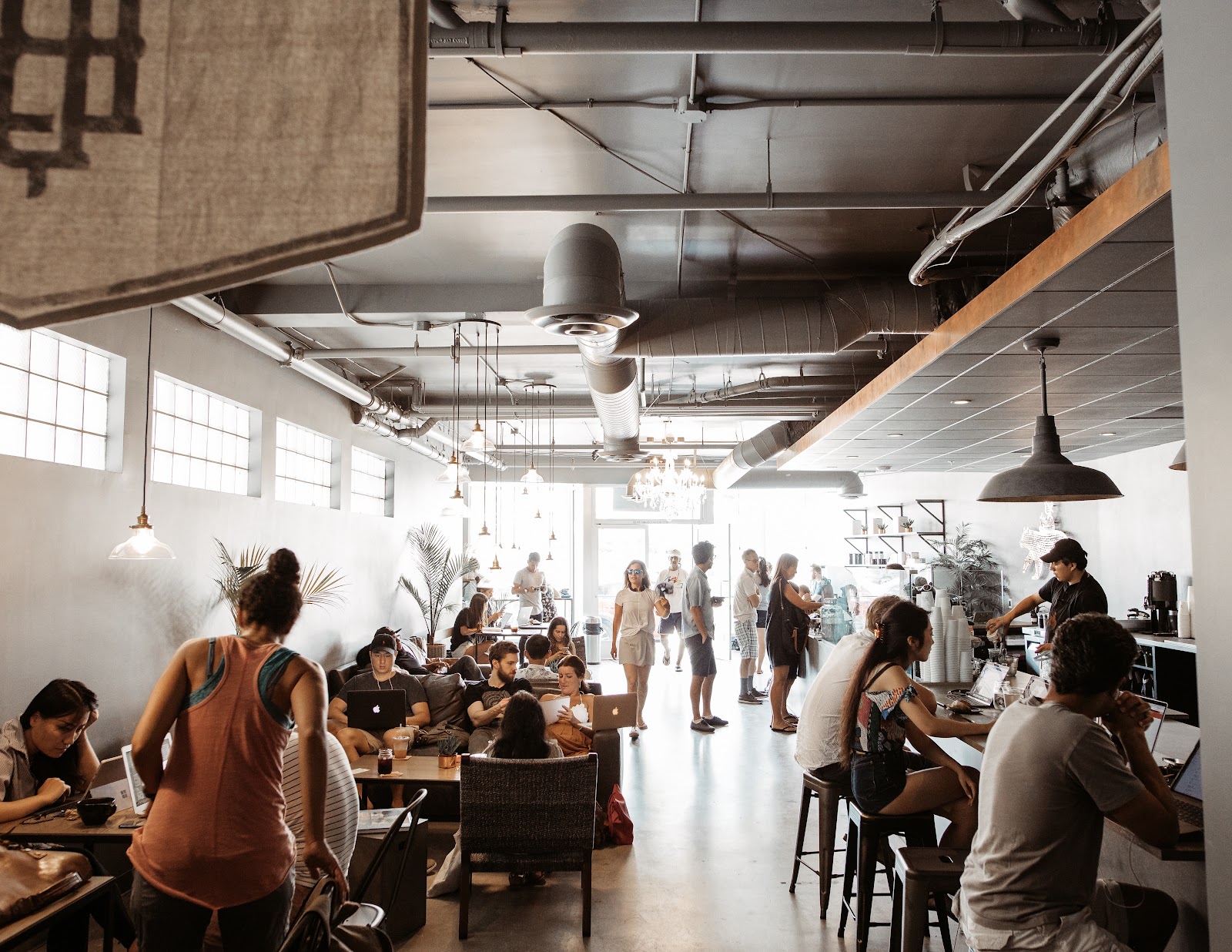 The Boy & The Bear - Coffee Roastery - Image 1
