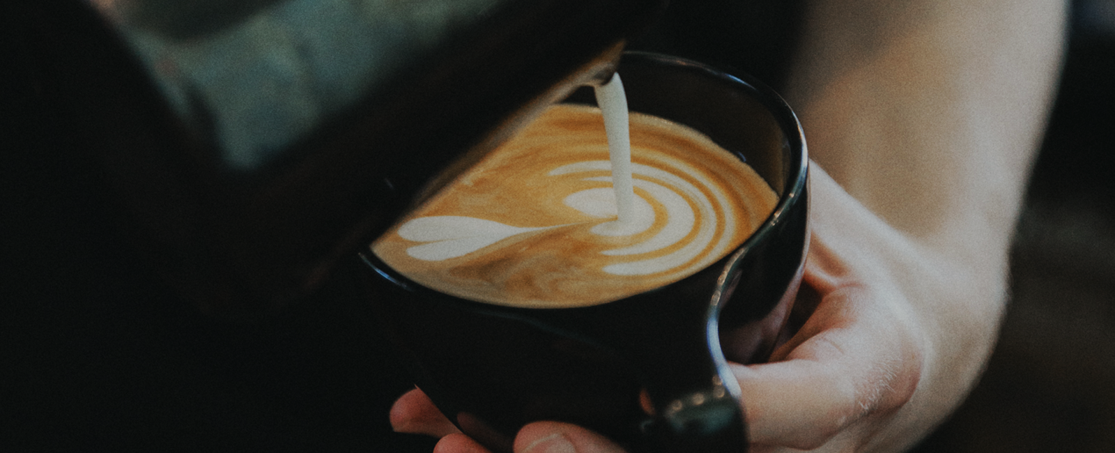 The Boy & The Bear - Coffee Roastery - Image 1
