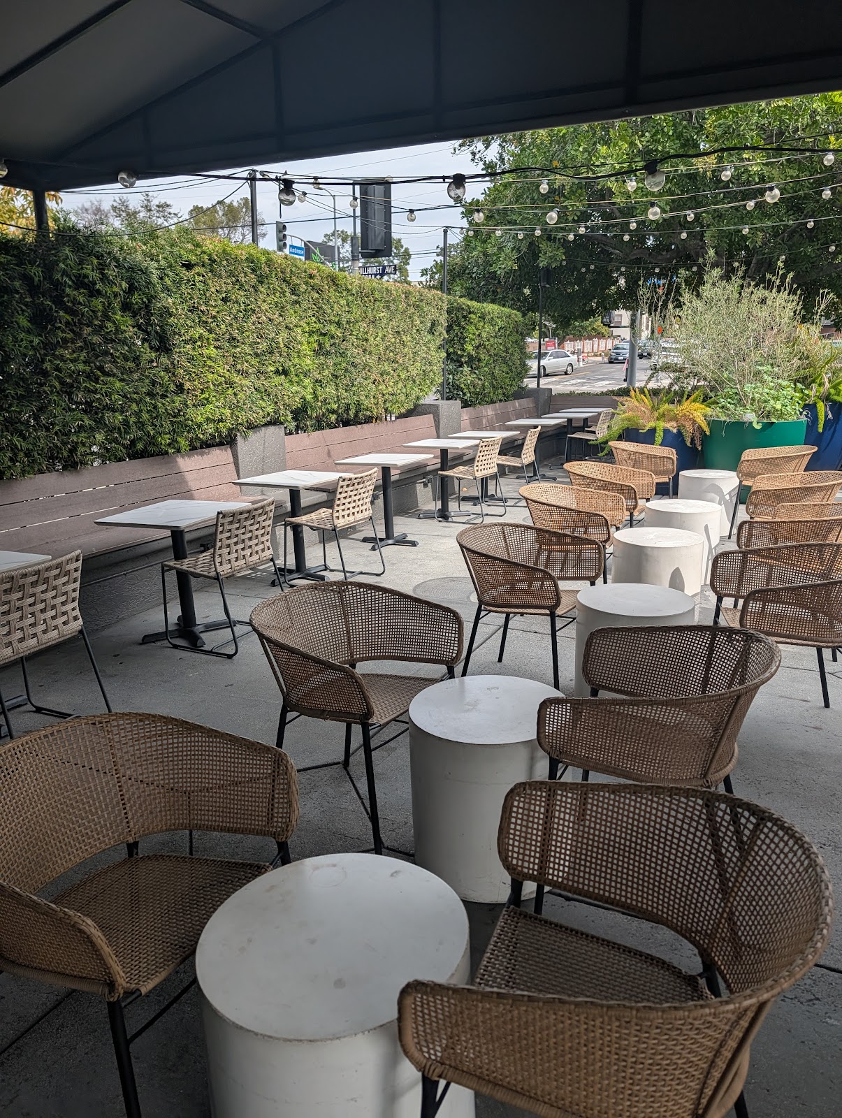 The Coffee Bean & Tea Leaf - Image 1